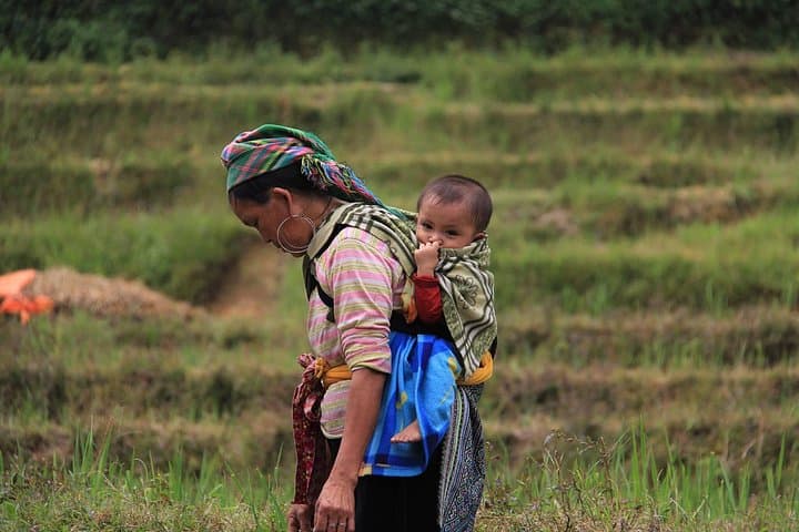 3-Day Sapa Trekking: Homestay Stays & Rice Terrace Trails from Hanoi photo 2