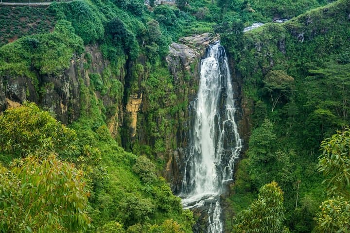 Day Trip to Nuwara Eliya from Kandy: Tea Country, Ramboda Falls & Gregory Lake photo 2