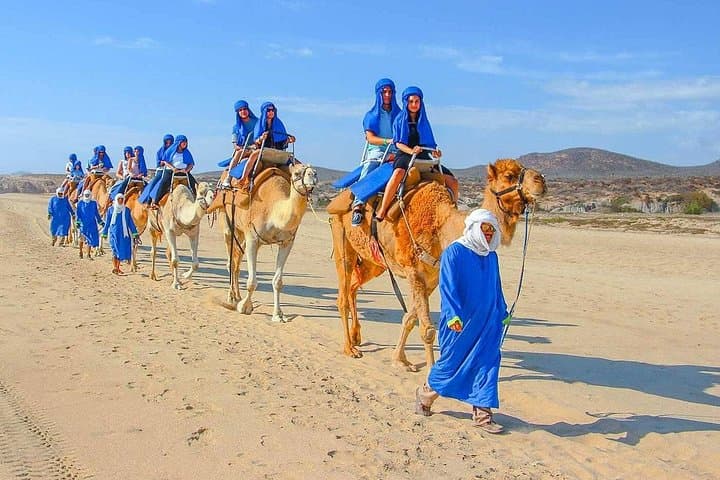 Agadir Camel Ride: 2-Hour Coastal Desert Trek from Port or Taghazout photo 1