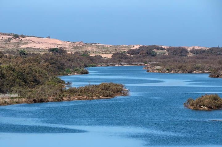 Half-Day Souss Massa National Park Excursion from Agadir: Wildlife & Coastal Dunes photo 2