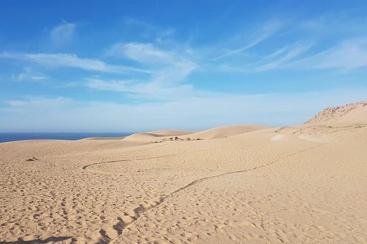 Agadir Dunes Day Trip: Sahara Sand Dunes with Lunch from Agadir or Taghazout photo 2