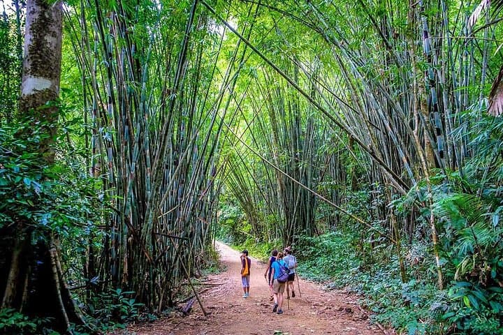 Khao Sok Jungle Safari & Cheow Lan Lake: 3-Day Explorer from Krabi photo 4