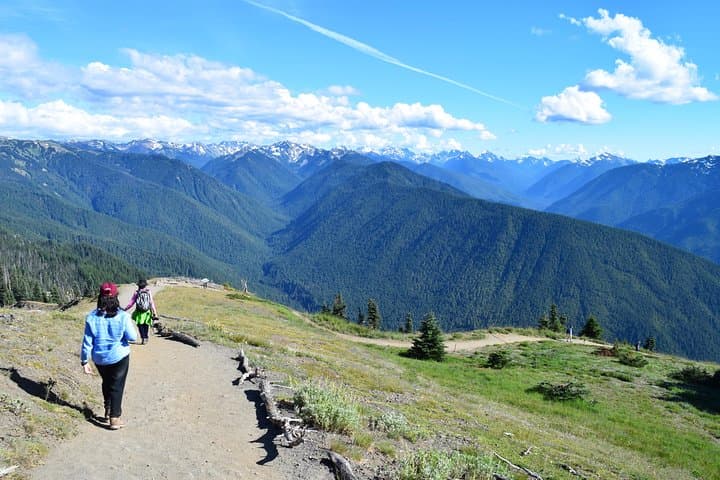 Sol Duc, Lake Crescent & Hurricane Ridge: Full-Day Guided Tour of Olympic National Park