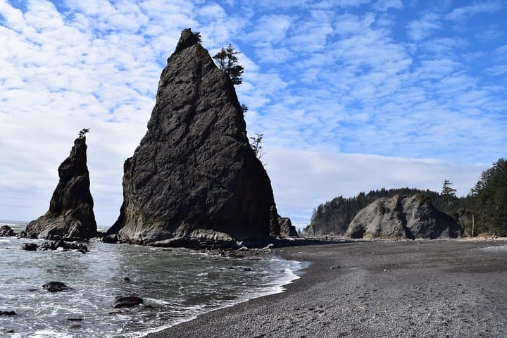 Hoh Rain Forest & Rialto Beach Guided Tour — Full-Day Olympic National Park Adventure photo 2