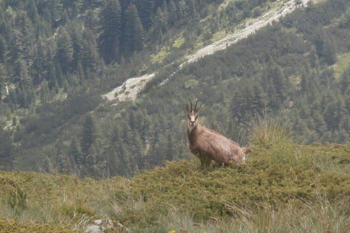 4-Day Pirin Trek: Hike Vihren, Bunderishki Lakes & Melnik Wine