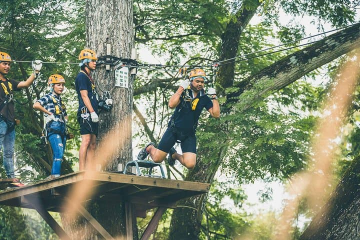 Phoenix Zipline Adventure Park Chiang Mai: Treetop Ropes, Ziplines & 10–24 Challenge Courses photo 3