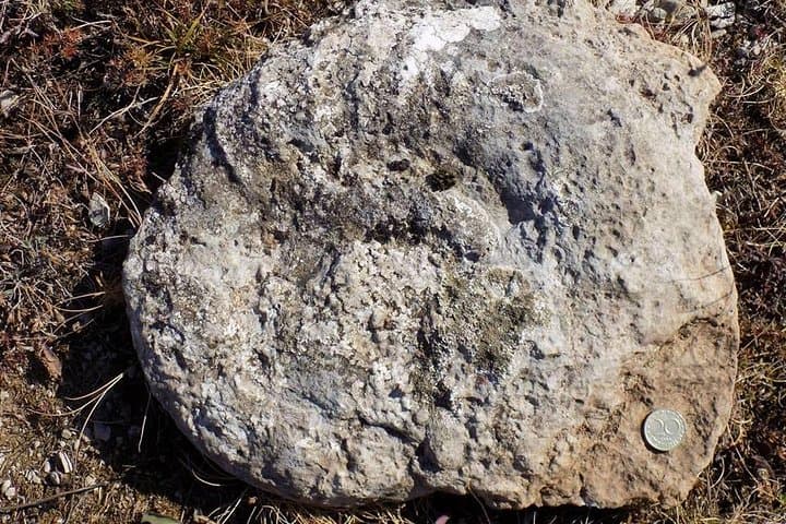 Hike the Jurassic Sea: Komstitsa Fossil Walk from Sofia