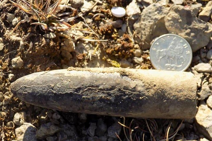Hike the Jurassic Sea: Komstitsa Fossil Walk from Sofia photo 2