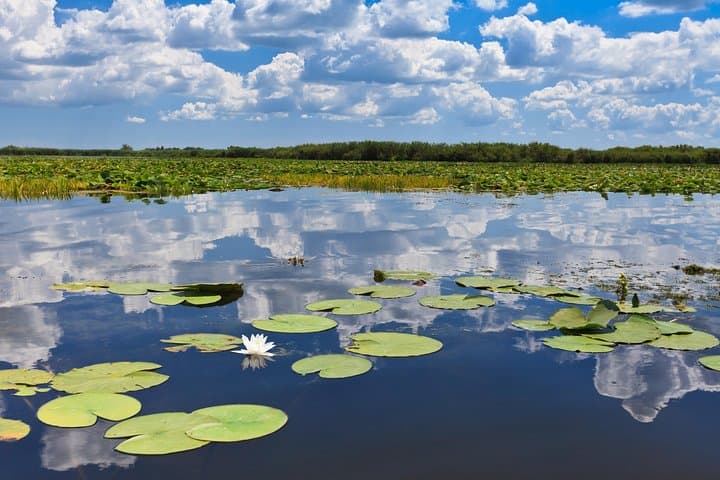 Explore the Danube Delta: 2-Day Shared Tour from Bucharest