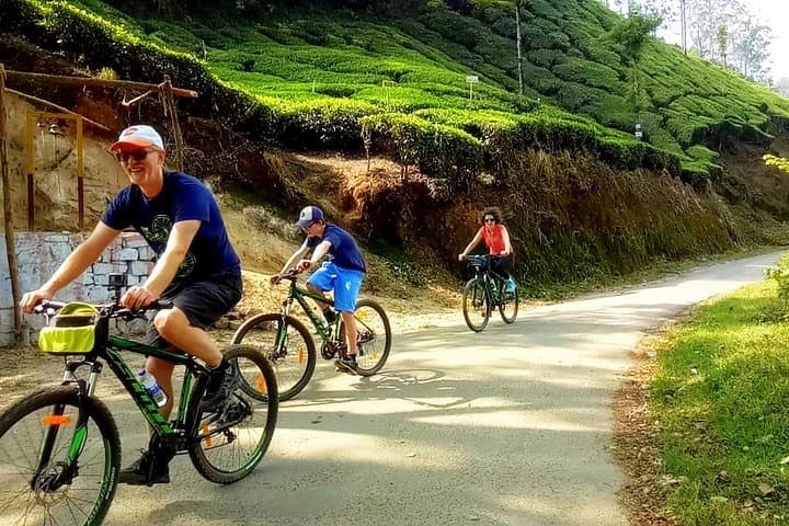 Pedal Green: Munnar Tea Plantation Bicycle Tour photo 2