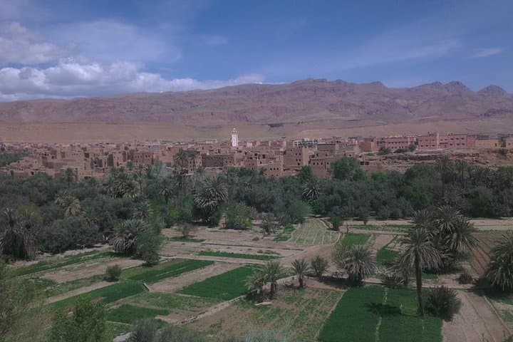 3-Day Shared Desert Tour from Marrakech to Fes via Merzouga, Dades & Todra photo 3
