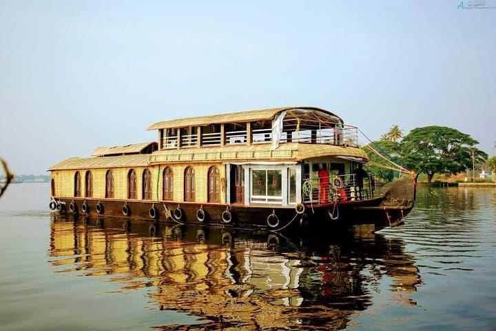 South India in 6 Nights: Munnar Tea Hills, Periyar Wildlife & Alleppey Backwaters