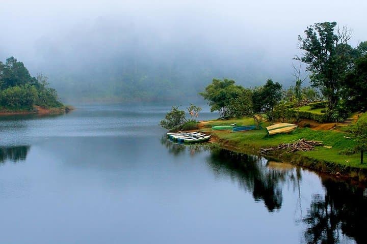 South India in 6 Nights: Munnar Tea Hills, Periyar Wildlife & Alleppey Backwaters photo 2