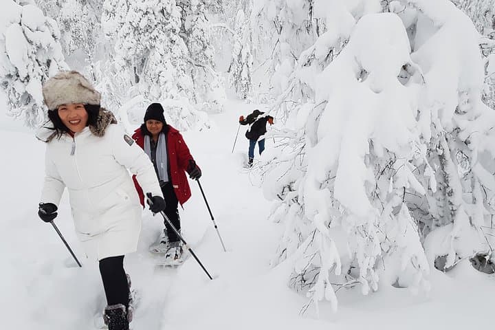 Snowshoeing Pyhä–Luosto National Park: Two-Hour Snowshoe Walks in Lapland photo 3