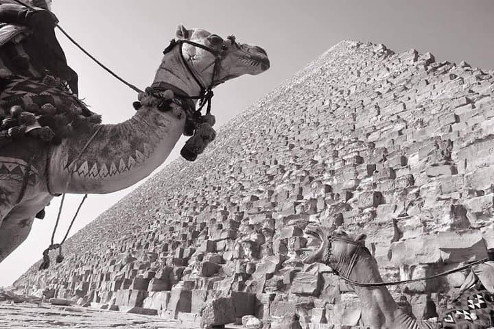 Half-Day Pyramids of Giza Tour — Camels, Sphinx & Egyptian Lunch photo 2