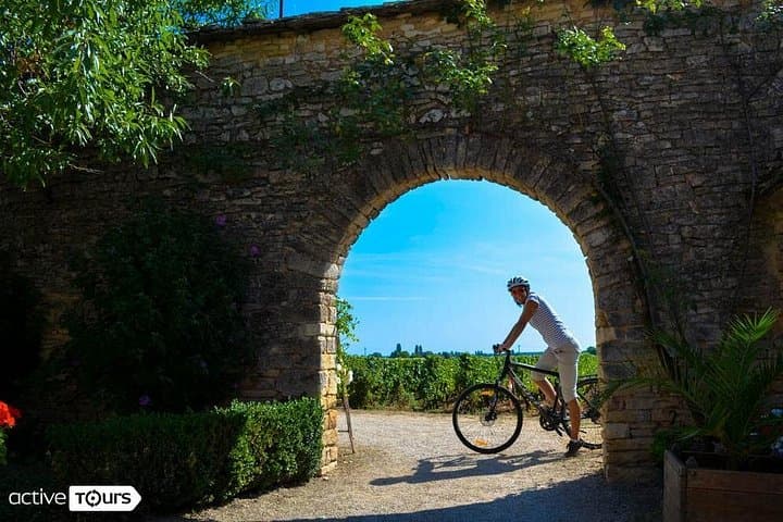 Weeklong Guided Bike Tour Through Burgundy’s Grand Cru Vineyards photo 1