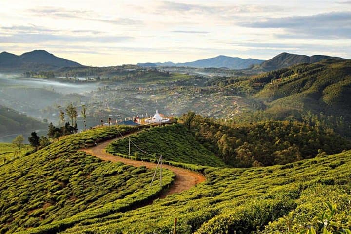 Hike Single Tree Hill, Nuwara Eliya — Lake Gregory Panorama & Tea-Estate Trails