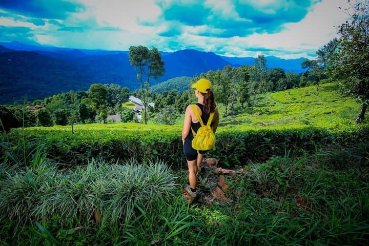 Overnight Tea Plantation Adventure at Simpson's Forest near Kandy