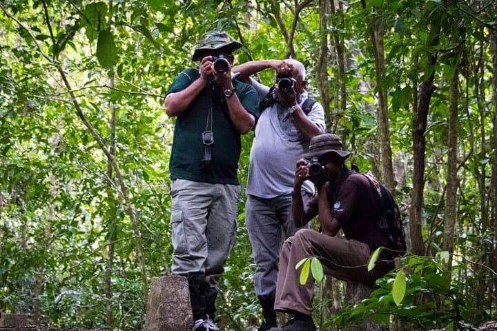Guided Nature Trail to Kanneliya Forest from Galle — Kabbale Peak & Anagimale Falls Trek