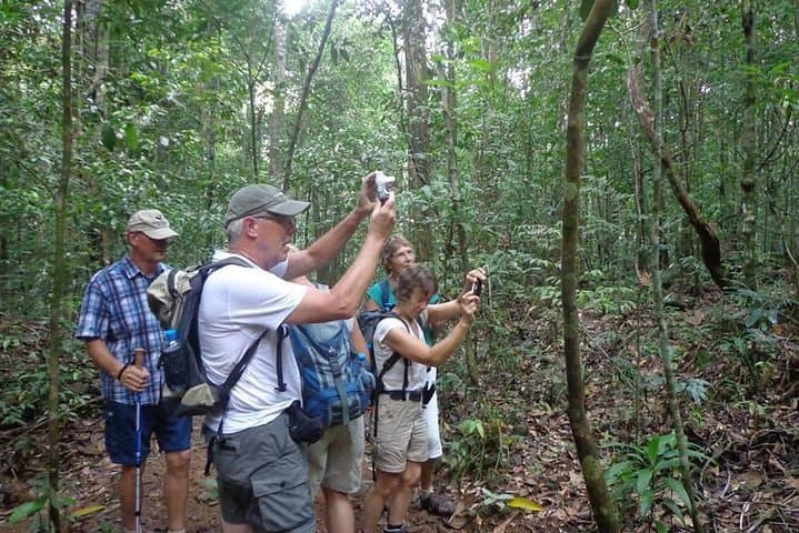 Guided Nature Trail to Kanneliya Forest from Galle — Kabbale Peak & Anagimale Falls Trek photo 2