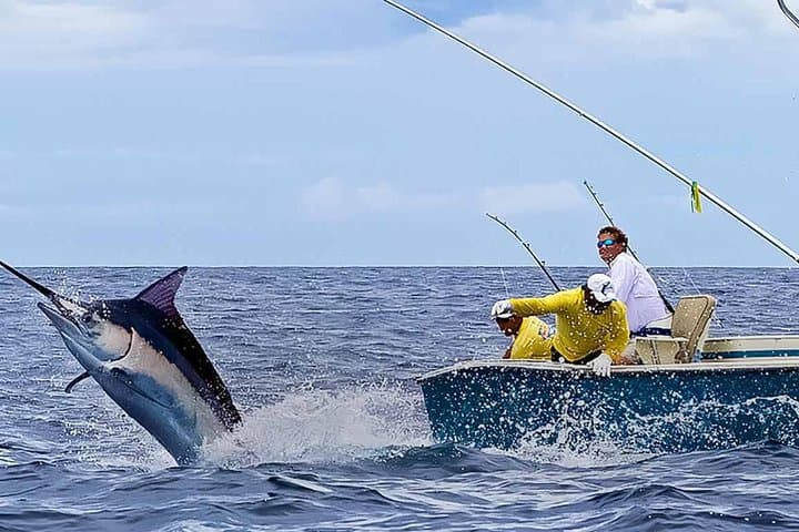 Punta Cana Deep-Sea Fishing Half-Day Charter — Marlin, Tuna & Sailfish photo 4