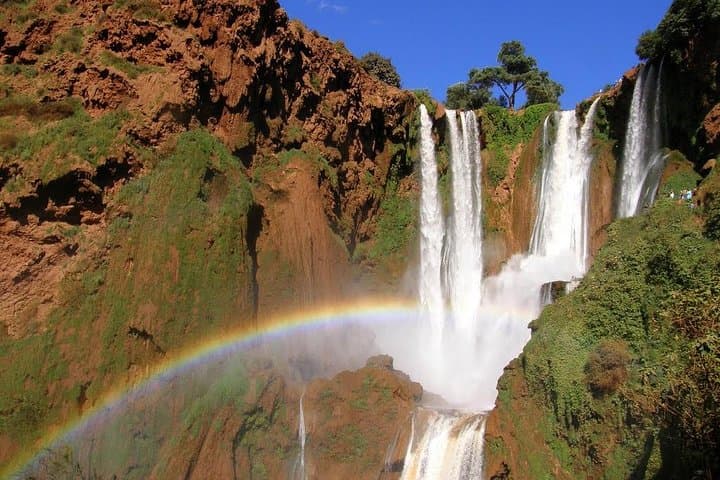 Ouzoud Waterfalls Day Trip from Marrakech — Full-Day Excursion with Swimming & Hikes photo 2