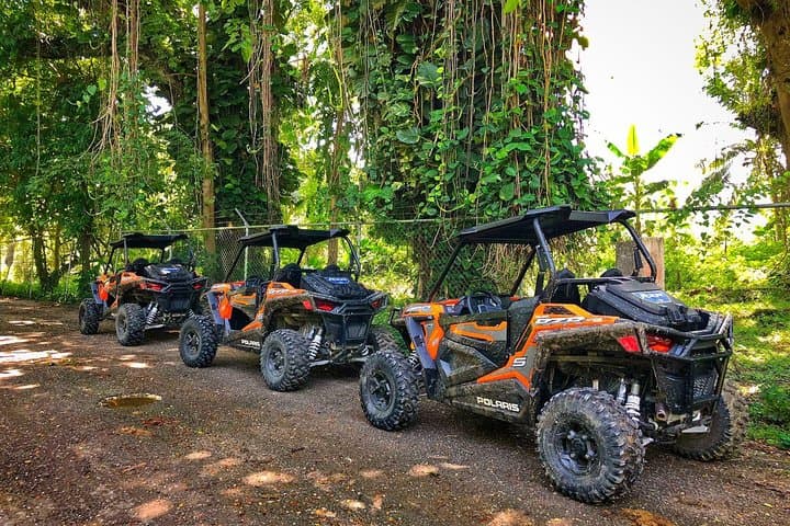 RastaSafari ATV Cultural Experience from Montego Bay — Roaring River Village