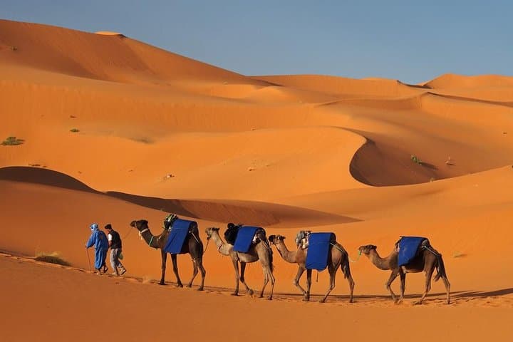 Three-Day Marrakech to Merzouga Desert Tour: Kasbahs, Gorges & Camel Trek photo 5