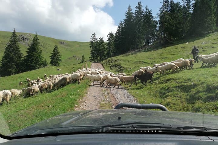 Half-Day 4x4 Adventure in Romania’s Eastern Carpathians: Hasmas & Bicaz Gorges photo 3