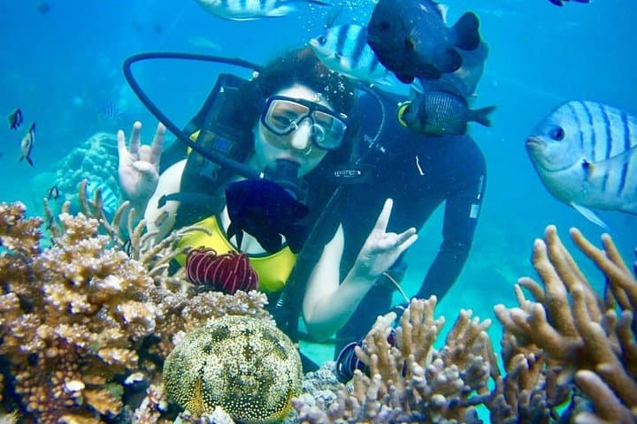 Nha Trang Happy Boat Trip: Snorkel, Floating Bar & Vietnamese Lunch photo 3