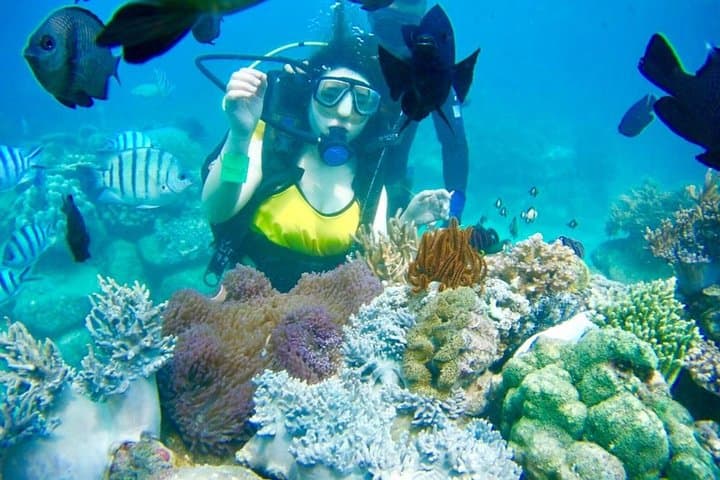 Nha Trang Happy Boat Trip: Snorkel, Floating Bar & Vietnamese Lunch photo 4
