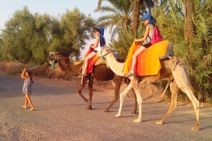 Sunset Camel Ride in Marrakech’s Palmeraie: Two-Hour Dromedary Tour & Berber Tea photo 3