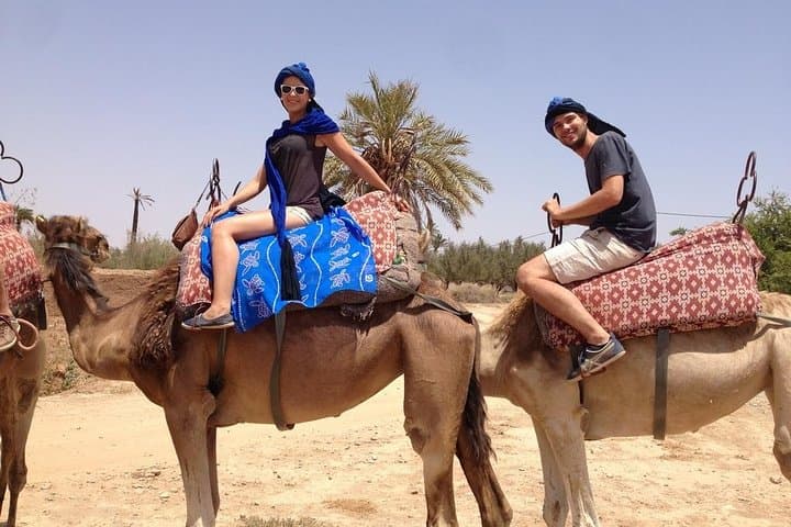 Marrakech Camel Ride in La Palmeraie: Palm-Grove Trek & Berber Tea Experience photo 6