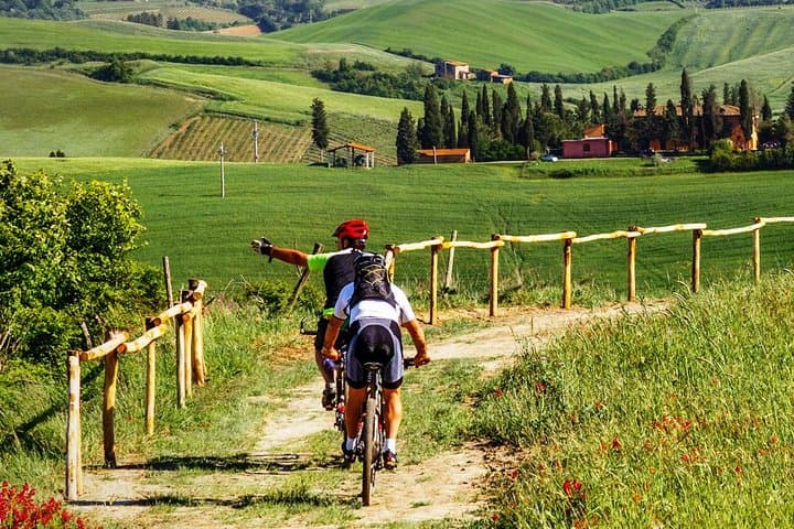 Chianti Day Ride from Florence: Bike, Wine & Olive Oil Tasting photo 4