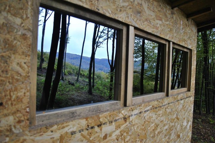 Carpathian Brown Bear Watching Near Odorheiu Secuiesc — Private Hide Experience photo 3