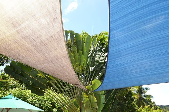 Sítio Rancho Fundo: Day Pass to Tropical Gardens, Pool & Atlantic Forest Views near Salvador photo 6