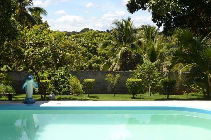 Sítio Rancho Fundo: Day Pass to Tropical Gardens, Pool & Atlantic Forest Views near Salvador photo 4