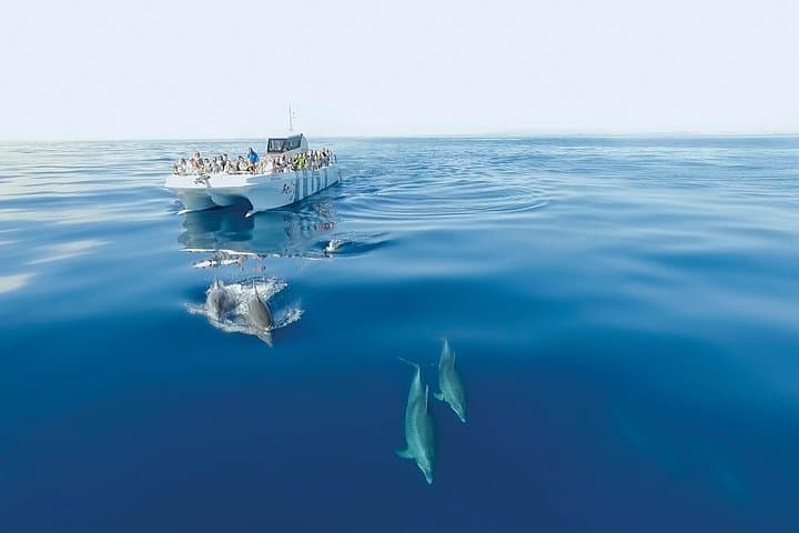 Dolphin Watching and Cave Cruise from Albufeira — Algarve Boat Tour photo 5