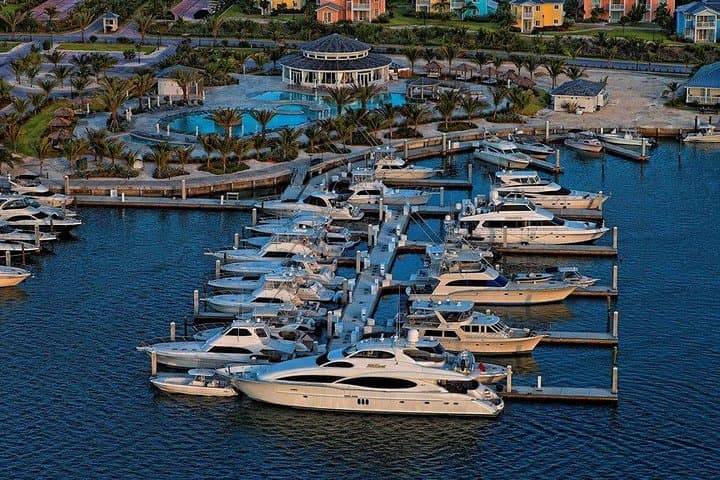 Bimini Day Cruise from Fort Lauderdale — Round-Trip Ferry to the Bahamas photo 5