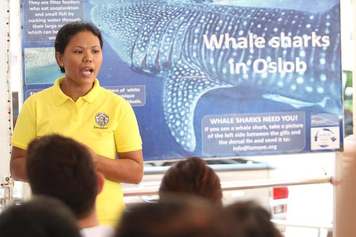 Whale Shark Swim and Aguinid Falls Day Trip from Cebu