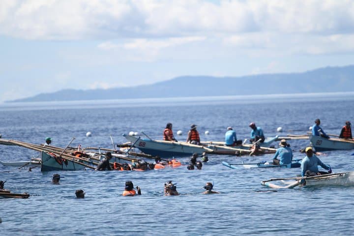 Whale Shark Swim and Aguinid Falls Day Trip from Cebu photo 4