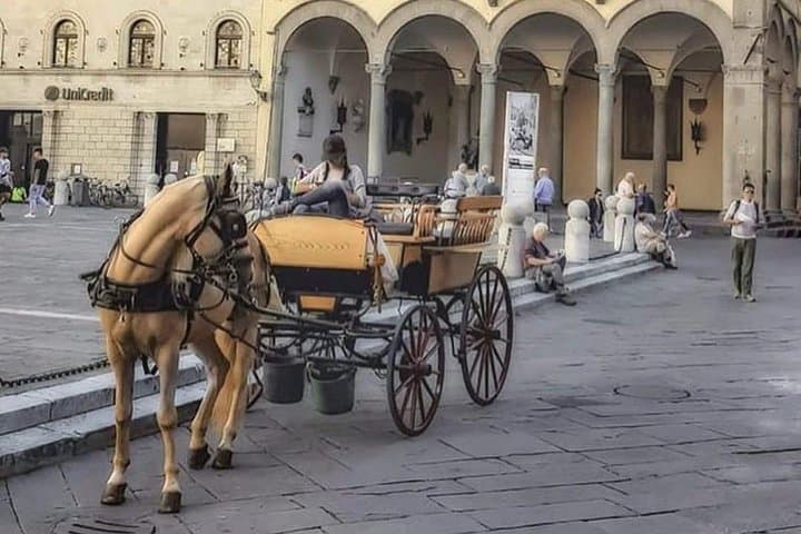 Lucca Carriage Tour: One-Hour Historic Center & Renaissance Walls photo 4