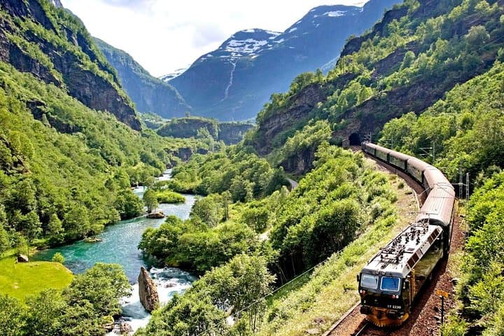Oslo to Sognefjord: Private Day Trip via Flåm Railway & Fjord Cruise