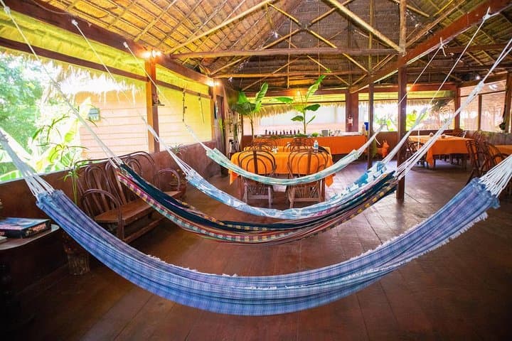 2-Day Amazon Jungle Lodge Experience at Avatar Amazon Lodge, Iquitos photo 2