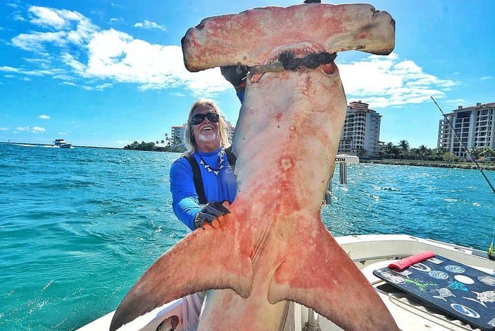 Miami Big Game Deep-Sea Fishing with Captain Mark the Shark photo 2