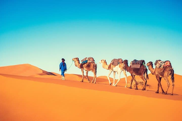Red Dunes Desert Safari Dubai: Dune Bashing, Camel Rides & BBQ Evening photo 3