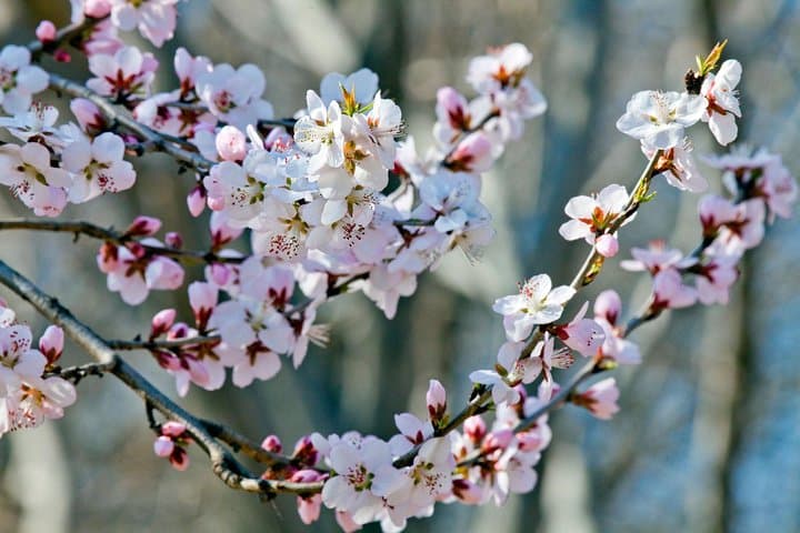 Private Customized Beijing Garden Tour — Explore Beijing's Imperial Gardens at Your Pace photo 4