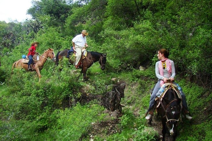 Overnight Horseback Riding Adventure in San Miguel de Allende Canyon