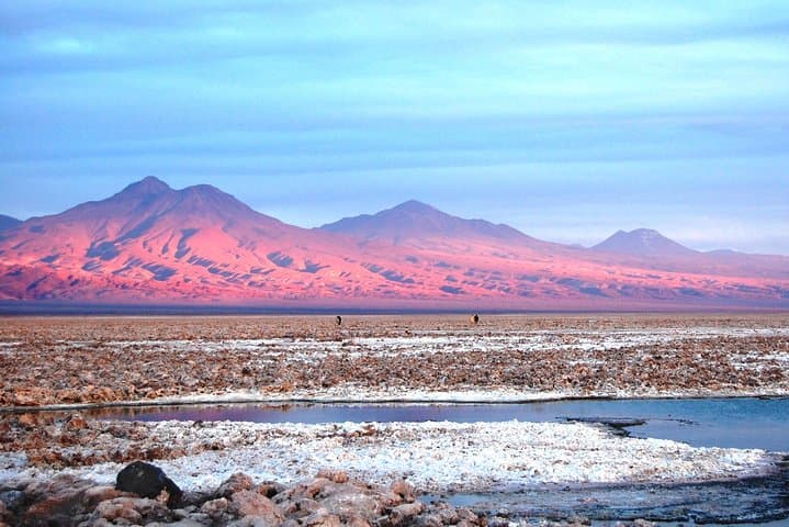 Altiplanic Lagoons & Piedras Rojas: Day Tour from San Pedro de Atacama photo 4