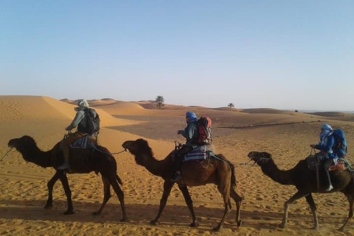 3-Day Sahara Camel Trek: Marrakech to Merzouga, Erg Chebbi & Dades Gorges photo 4